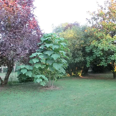 Les Ecureuils Bougligny