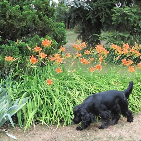 莱斯埃库茹斯酒店 Bougligny