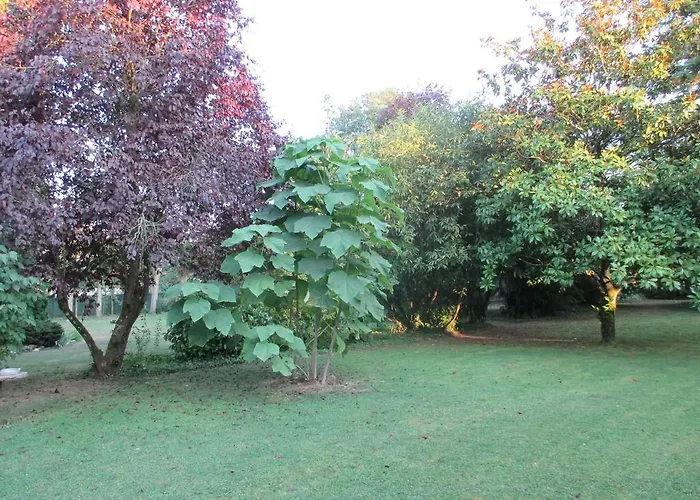 Les Ecureuils Bougligny