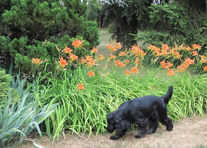 Les Ecureuils Bougligny